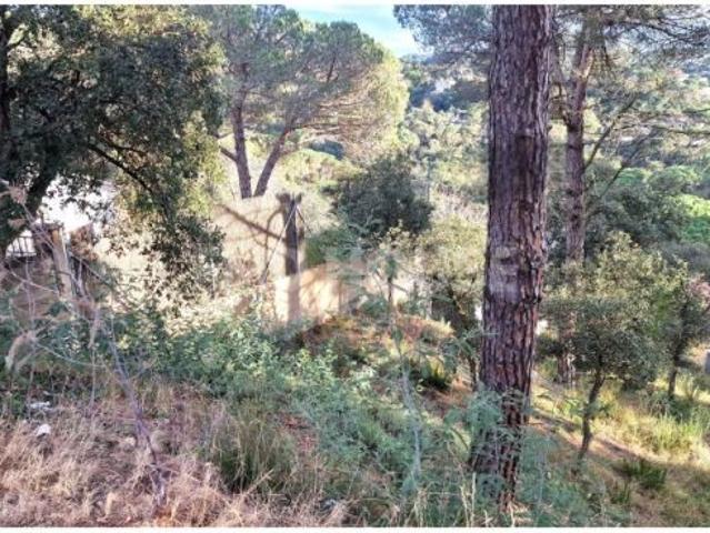 Local Comercial en venta en la Selva, Catalunya