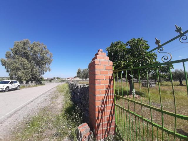 Terreno en venta en Albalá, Extremadura