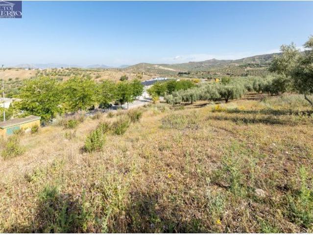Local Comercial en venta en Fuente Grande, Comarca de la Vega de Granada