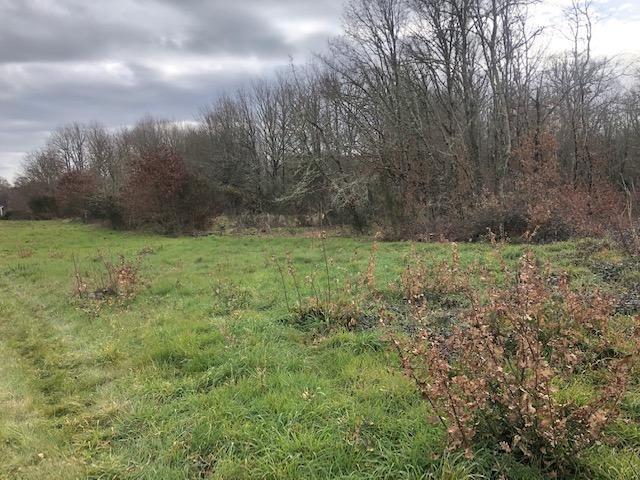 Terreno en venta en Amoeiro, Ourense