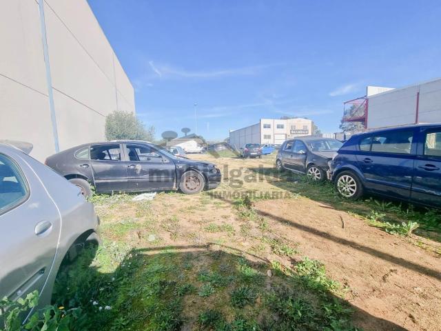 Terreno en venta en La Janda, Andalucía