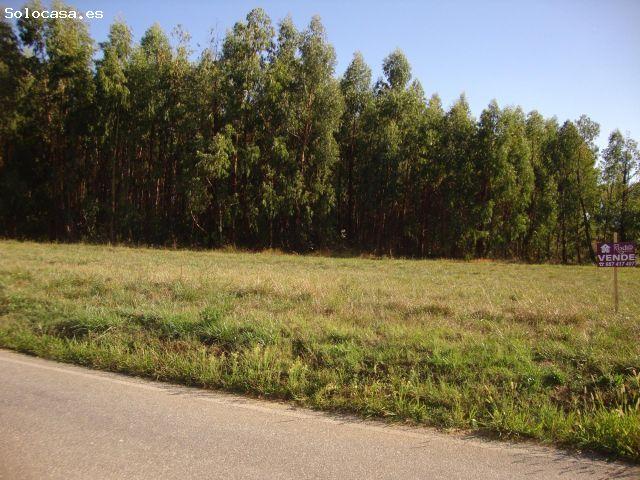 Local Comercial en venta en El Bierzo, Castilla y León