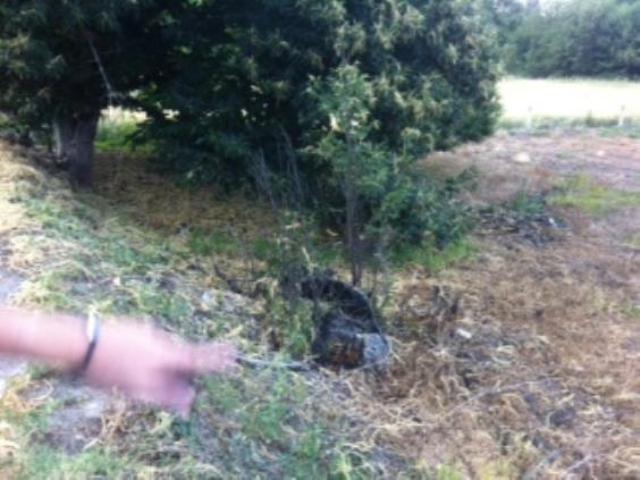 Terreno en venta en El Bierzo, Castilla y León