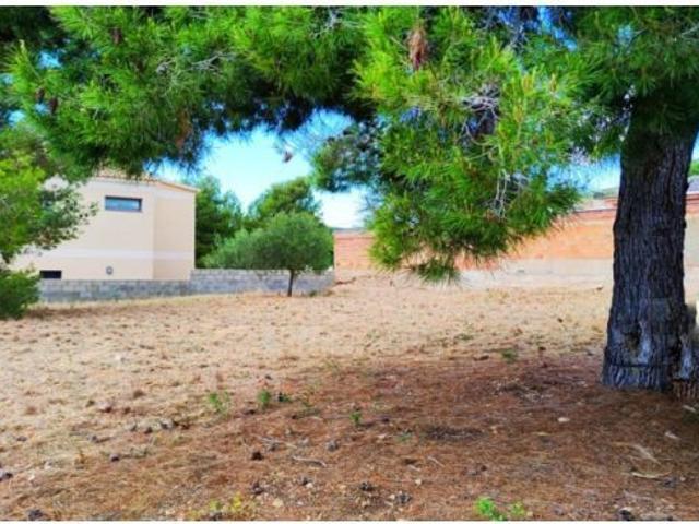 Local Comercial en venta en Baix Penedès, Catalunya