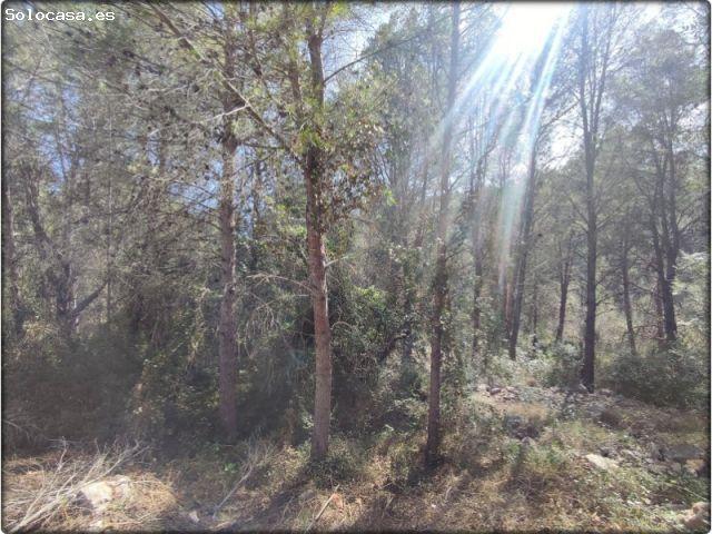 Local Comercial en venta en la Safor, Valencia