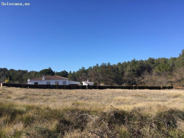 Local Comercial en venta en Baix Penedès, Catalunya