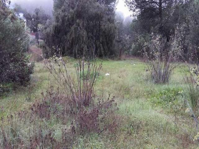 Terreno en venta en Distrito Centro, Córdoba