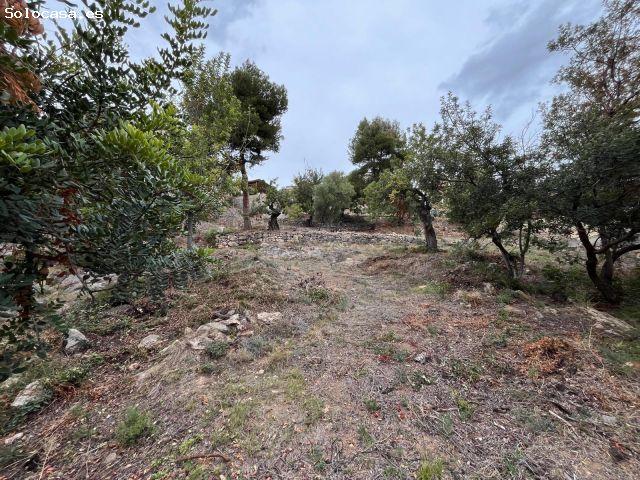 Local Comercial en venta en la Plana Alta, Valencia