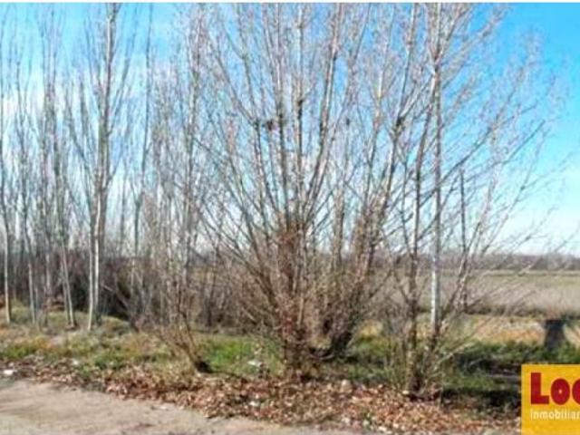 Terreno en venta en Monzón De Campos, Castilla y León