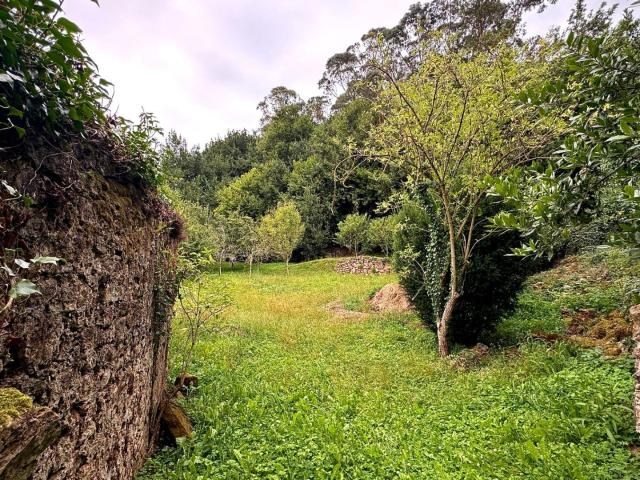 Terreno en venta en Alfoz De Lloredo, Cantabria