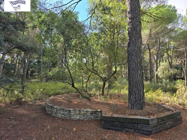Terreno en venta en Motilleja, Castilla-La Mancha