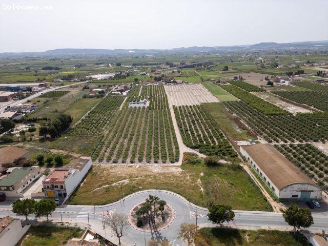 Local Comercial en venta en el Baix Segura / La Vega Baja, Valencia