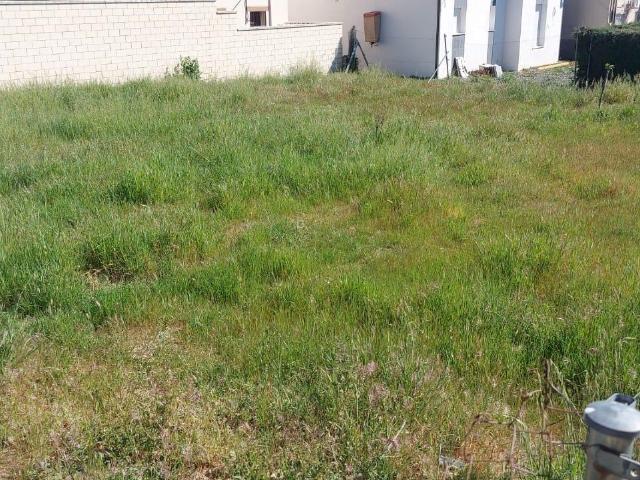 Terreno en venta en Cáceres - Sierra de Montánchez, Extremadura