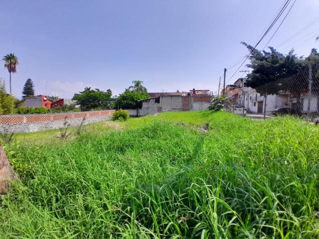 Terreno en renta en Morelos