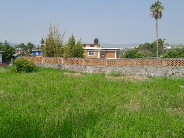 Terreno en renta en Morelos