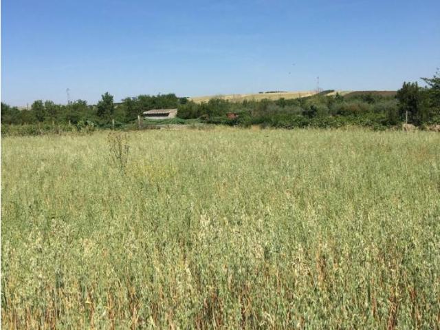 Terreno en venta en Trujillanos, Extremadura