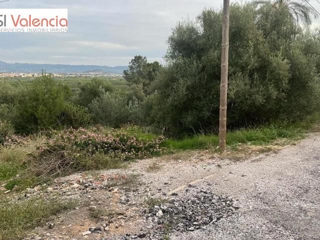 Terreno en venta en la Ribera Alta, Valencia