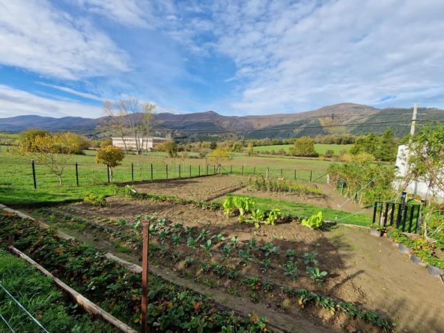 Terreno en venta en Valle De Mena, Castilla y León