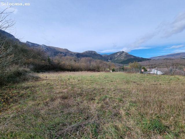 Local Comercial en venta en Lezana de Mena, Valle De Mena