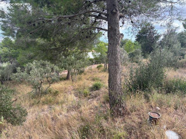 Local Comercial en venta en Baix Camp, Catalunya