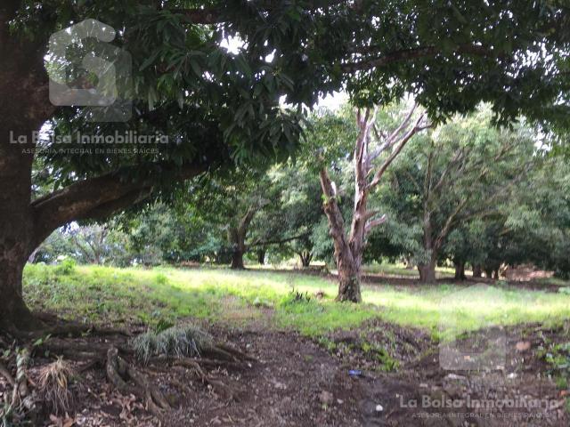 Terreno en venta en San Andrés Tuxtla