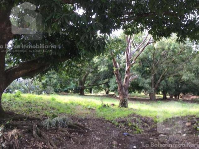 Terreno en venta en San Andrés Tuxtla, Veracruz
