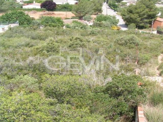 Local Comercial en venta en Baix Penedès, Catalunya