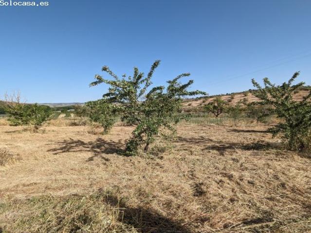 Local Comercial en venta en Comarca de Alhama, Andalucía