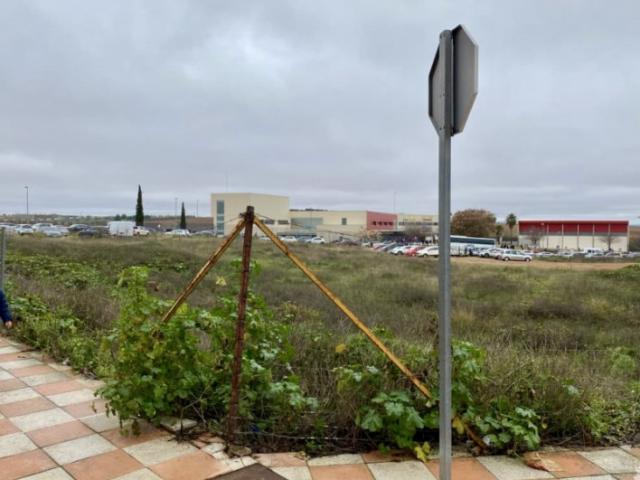 Terreno en venta en Tierra de Barros, Extremadura