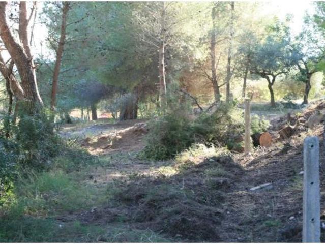 Local Comercial en venta en la Marina Alta, Valencia