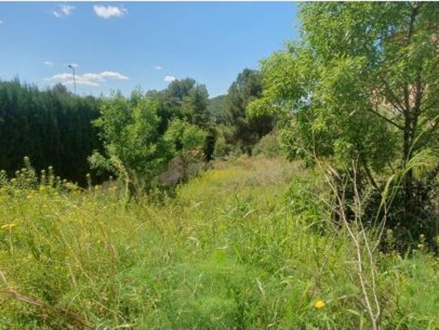 Local Comercial en venta en la Plana Alta, Valencia