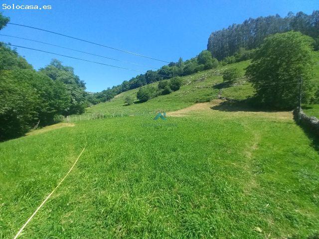 Local Comercial en venta en Arredondo, Cantabria
