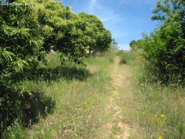 Local Comercial en venta en El Bierzo, Castilla y León