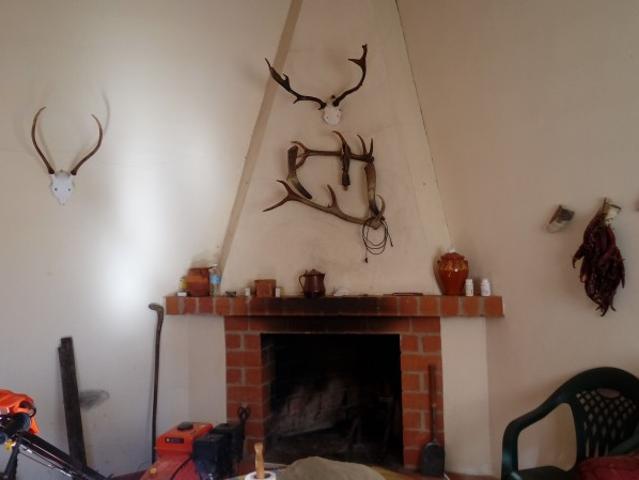 Terreno en venta en Zarza La Mayor, Extremadura