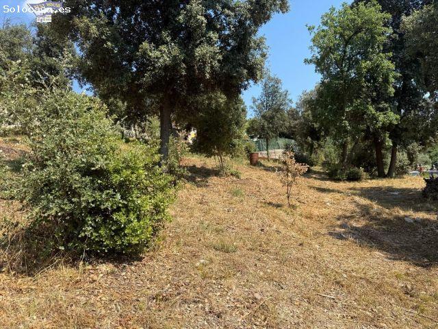 Local Comercial en venta en Can Canyameres, Vallès Occidental