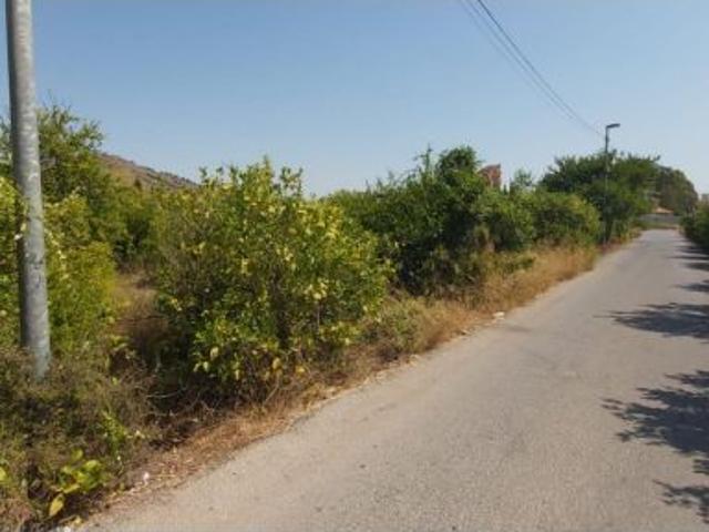 Local Comercial en venta en Monteagudo, Área Metropolitana de Murcia