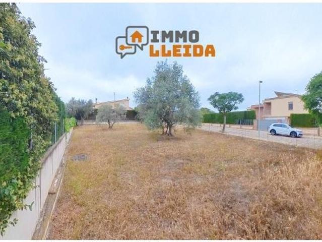 Local Comercial en venta en Cervera, Segarra