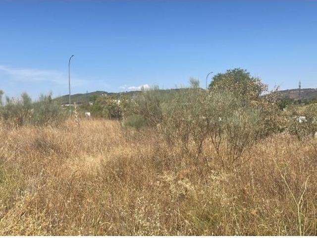 Local Comercial en venta en Guadalajara, Castilla-La Mancha