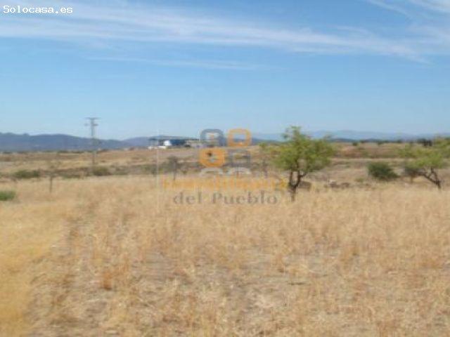 Local Comercial en venta en Úrcal, Huércal-overa