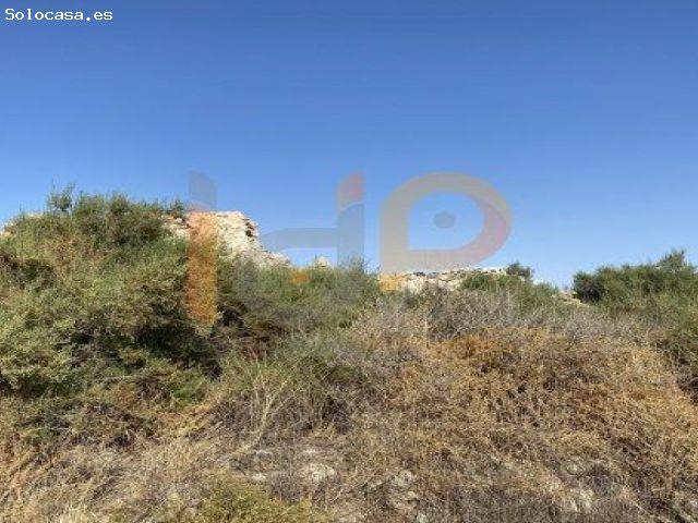 Local Comercial en venta en Los Gibaos, Huércal-overa