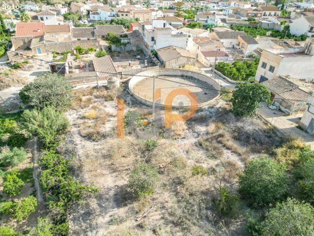 Local Comercial en venta en Los Menas, Huércal-overa
