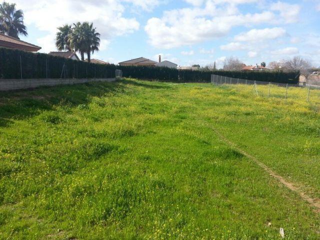 Terreno en venta en La Carlota, Andalucía