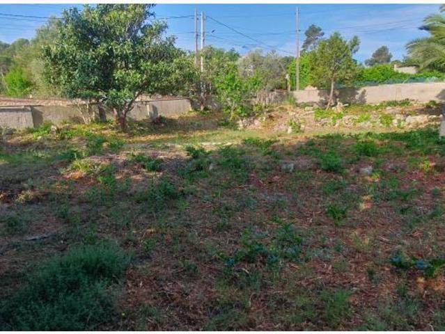 Local Comercial en venta en les Pinedes de l'Armengol, Anoia