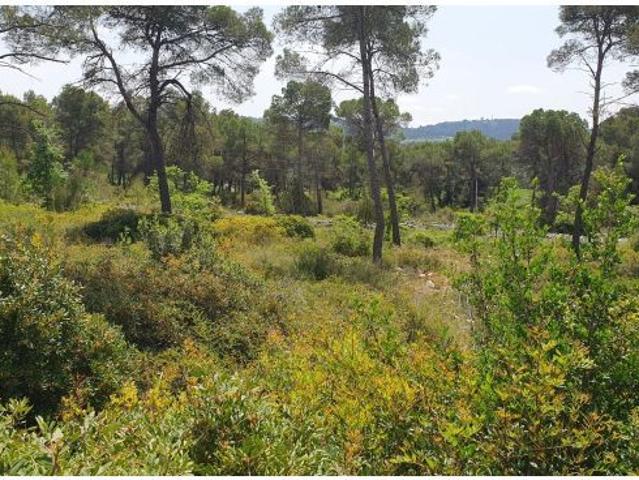 Local Comercial en venta en Anoia, Catalunya