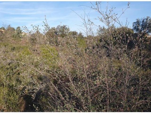 Local Comercial en venta en Anoia, Catalunya