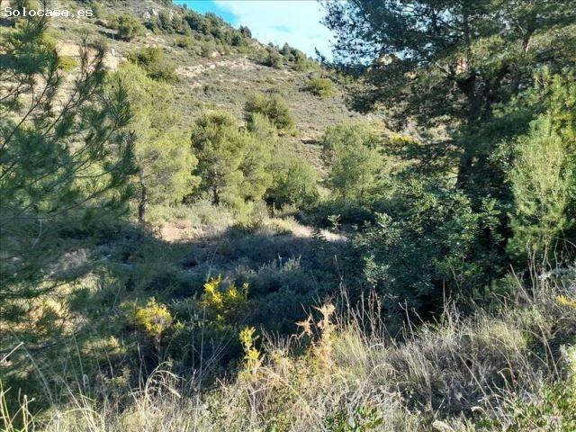 Local Comercial en venta en l'Alcalatén, Valencia