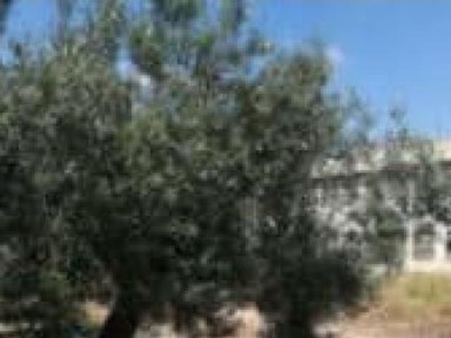 Local Comercial en venta en la Ribera Alta, Valencia