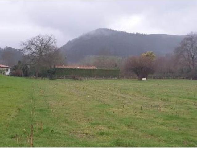 Local Comercial en venta en Mazcuerras