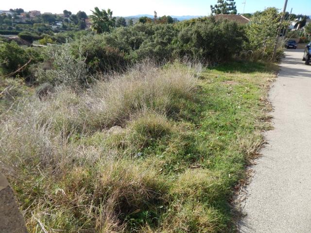 Terreno en venta en el Mas de Pavia, la Ribera Alta