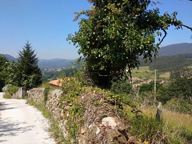 Terreno en venta en Santianes, Pravia